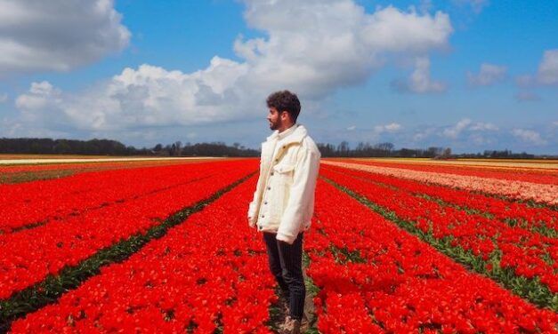 Descubre la música de Alex Tyché y su reciente single «transatlantic paradise»