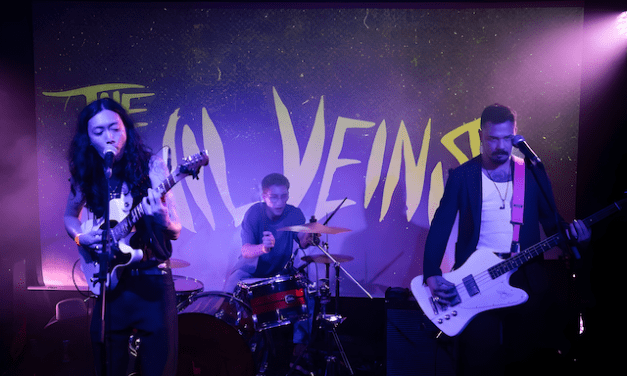 Descubre la música de The Vil Veins y su nuevo single «R U Satisfied?»