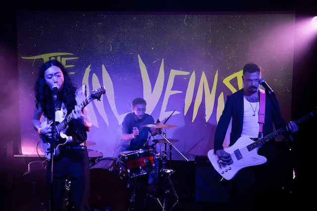 Descubre la música de The Vil Veins y su nuevo single «R U Satisfied?»