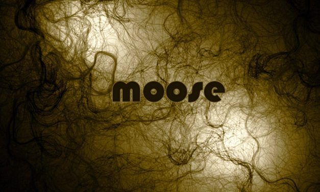 Descarga gratis el nuevo trabajo de los asturianos Moose