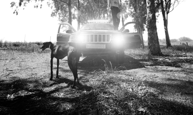 El Galo Mtgrs estrena su nueva canción «Pretty Flaco»
