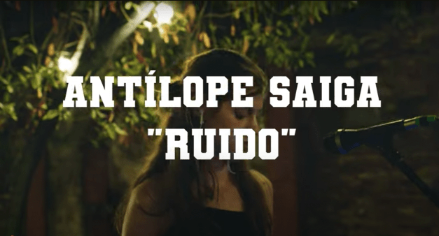 Antílope Saiga publica el video de «Ruido», uno de los temas más emotivos de su último disco “Invisibles”
