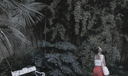 Pablo Cerviño publica su nuevo single «Céliane»