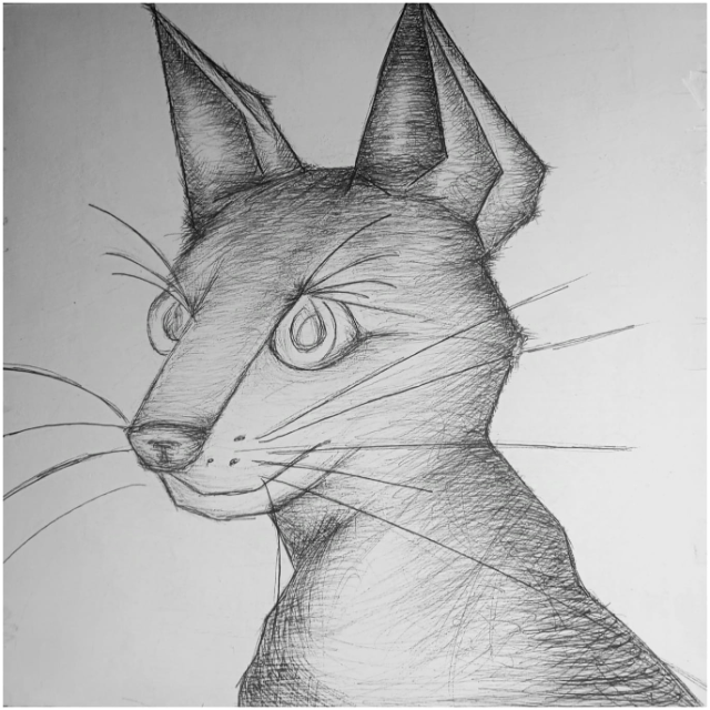 PINGPONGPANK estrenan su nuevo EP «Dingo»